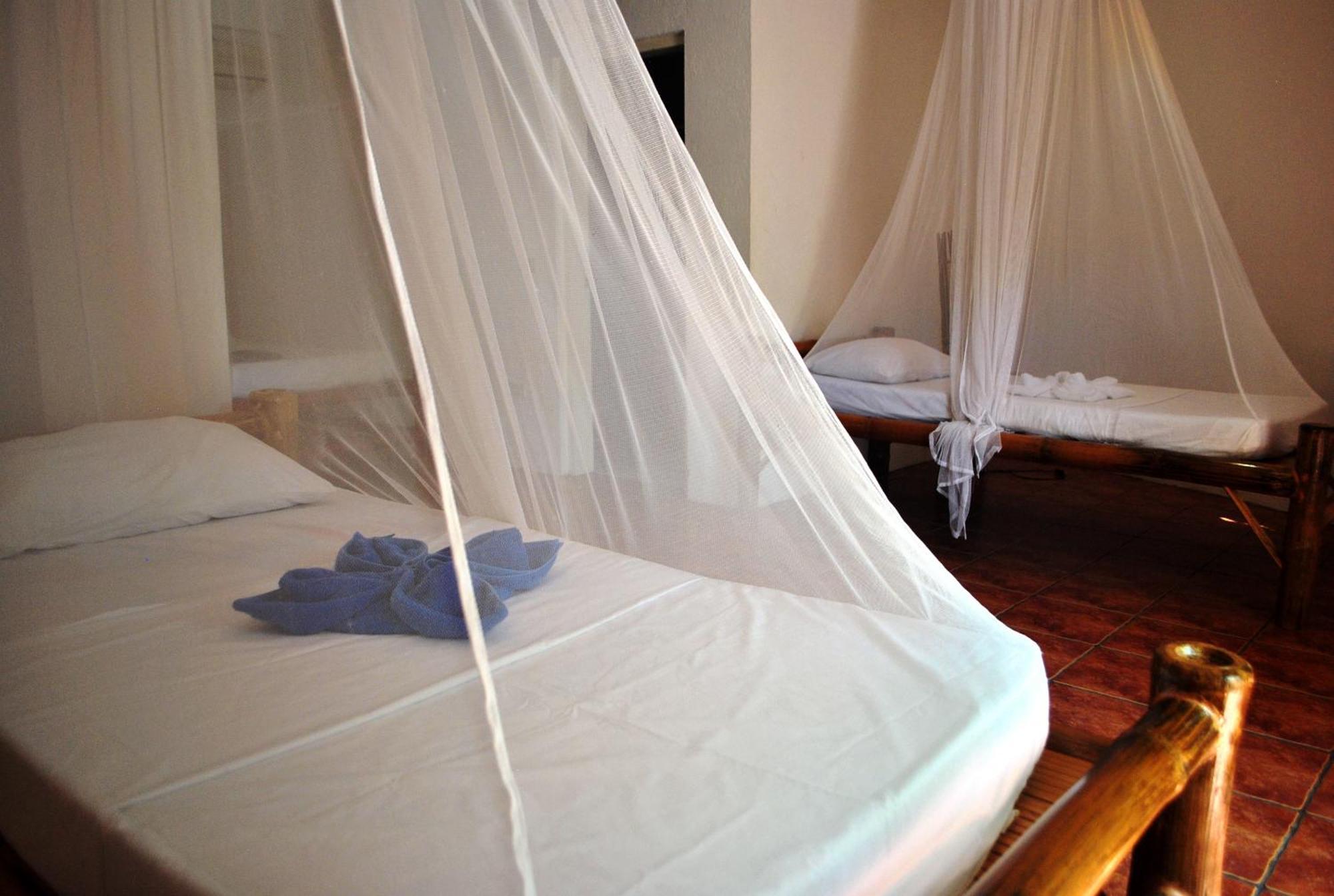 เดอะบลู ออร์คิด รีสอร์ต Hotel โมอัลโบอัล ห้อง รูปภาพ